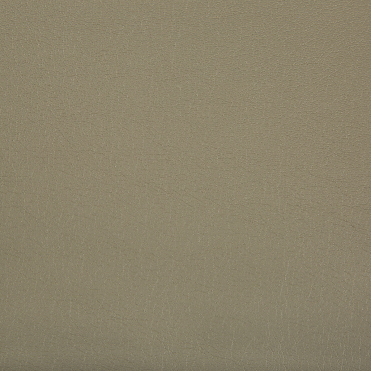 Optima fabric in stucco color - pattern OPTIMA.616.0 - by Kravet Contract