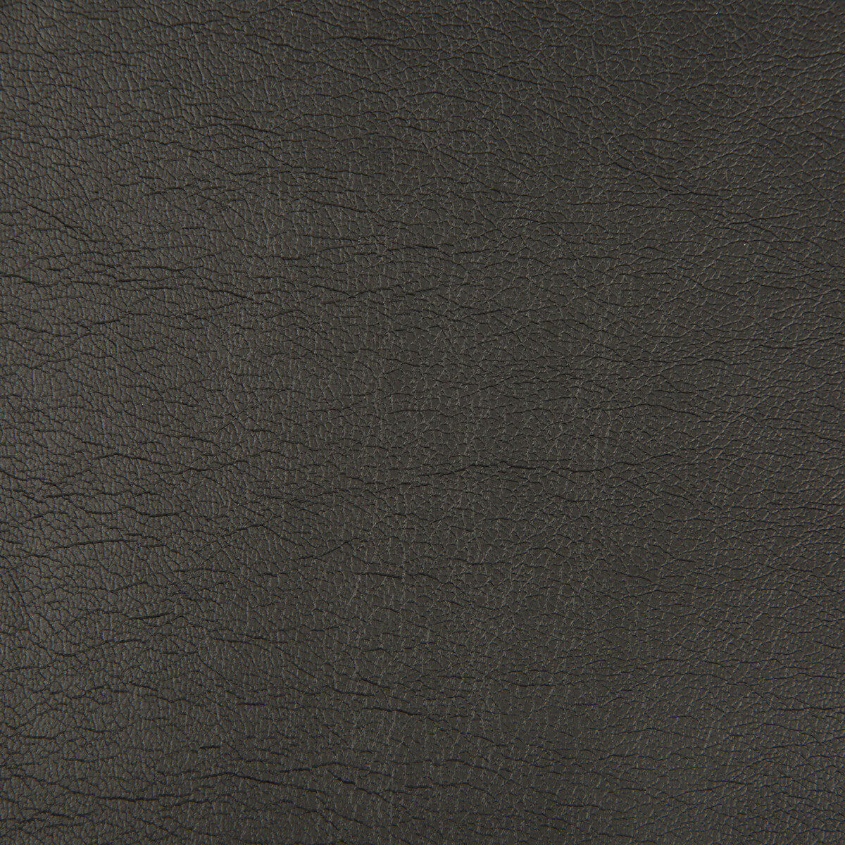 Optima fabric in jet color - pattern OPTIMA.8.0 - by Kravet Contract