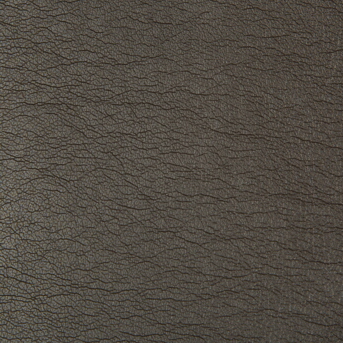Optima fabric in chocolate color - pattern OPTIMA.86.0 - by Kravet Contract