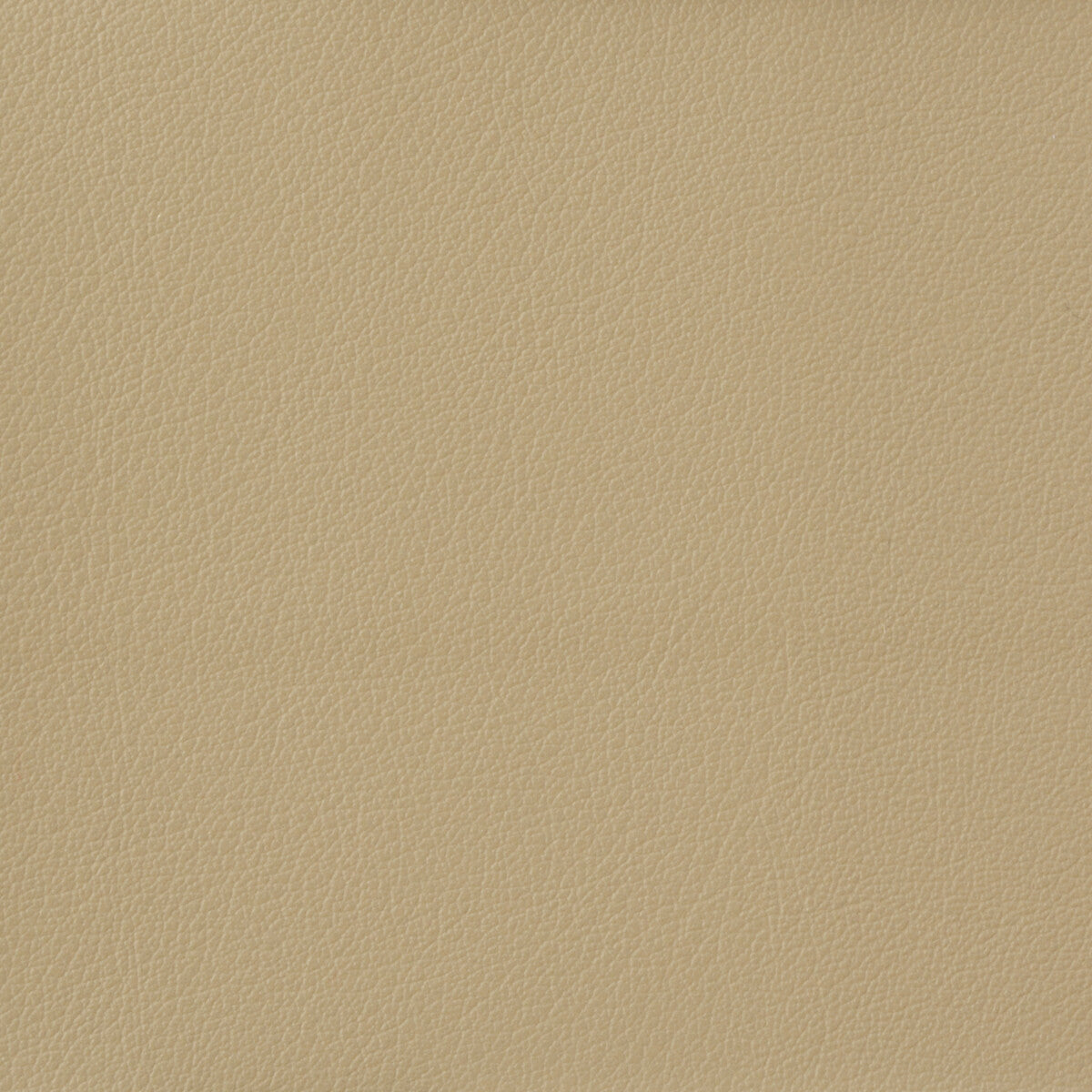 Kravet Basics fabric in otto-116 color - pattern OTTO.116.0 - by Kravet Basics