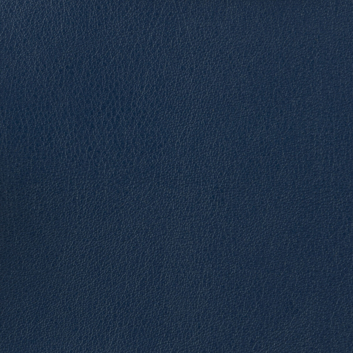 Kravet Basics fabric in otto-50 color - pattern OTTO.50.0 - by Kravet Basics