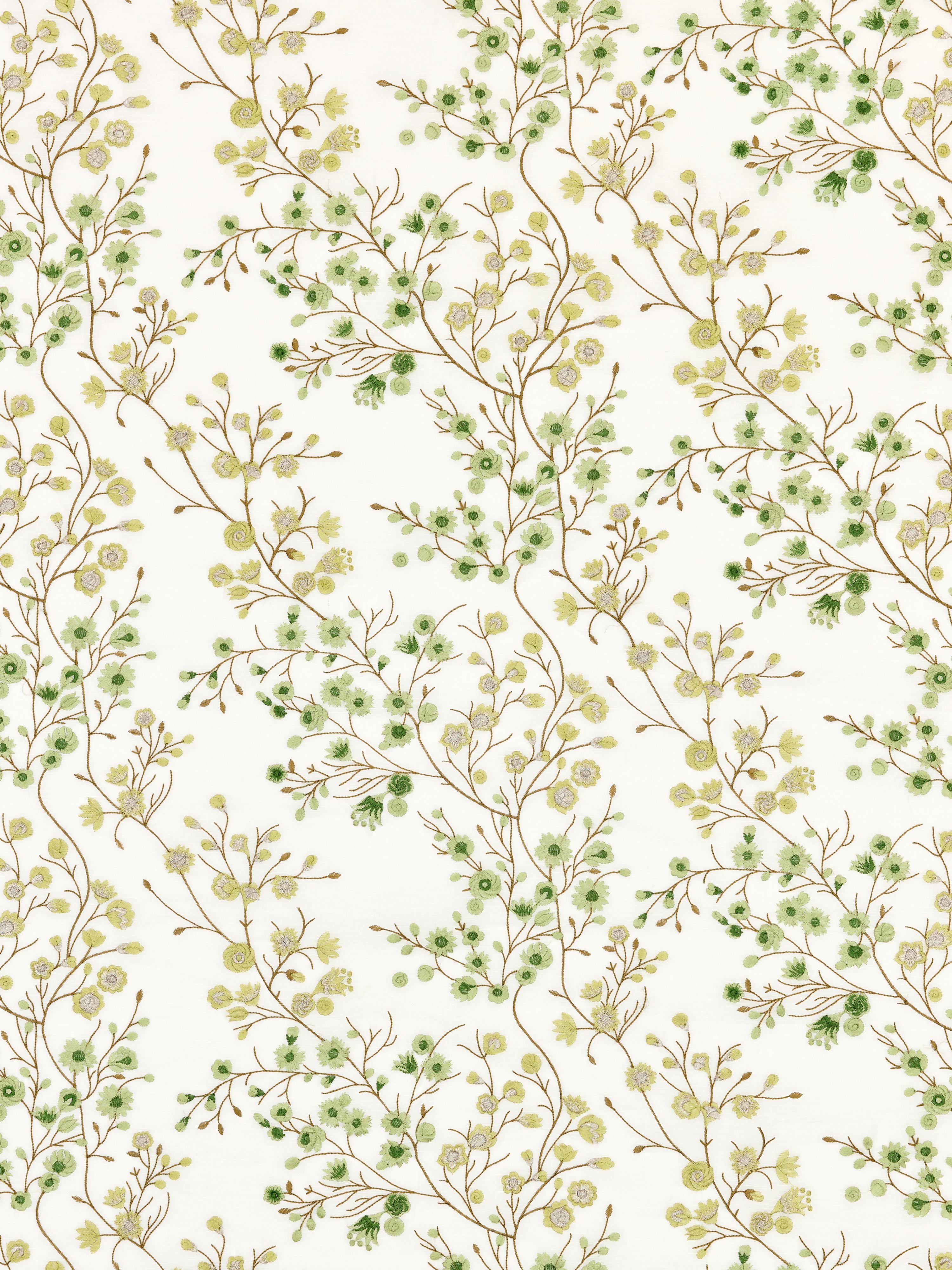 Lilette Sheer fabric in fern color - pattern number P4 00019863 - by Scalamandre in the Old World Weavers collection