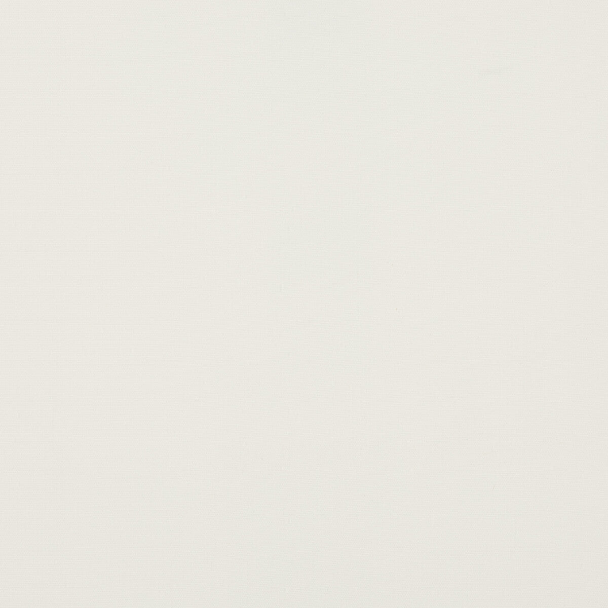 Fernshaw fabric in ivory color - pattern PF50410.104.0 - by Baker Lifestyle in the Notebooks collection
