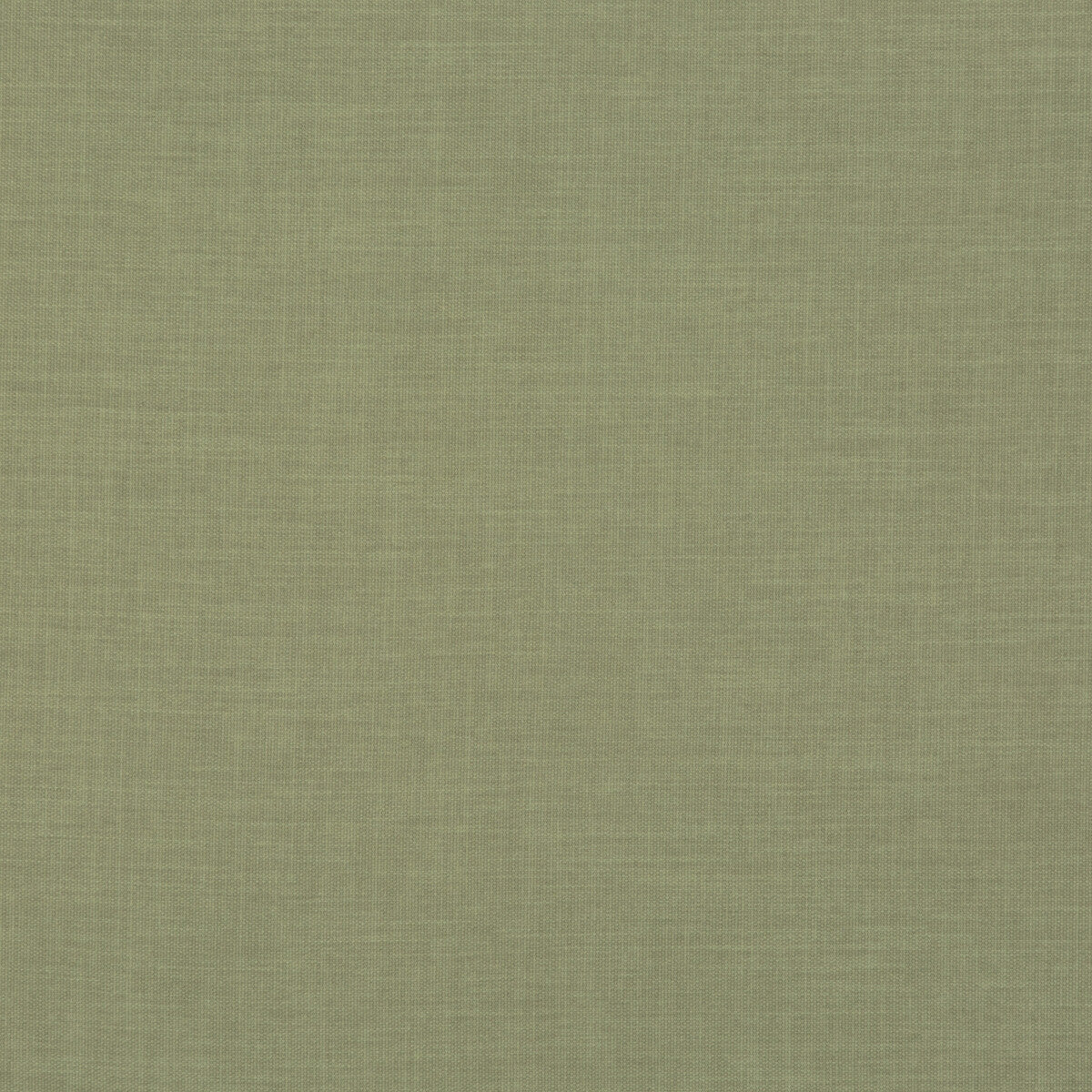Fernshaw fabric in fern color - pattern PF50410.775.0 - by Baker Lifestyle in the Notebooks collection