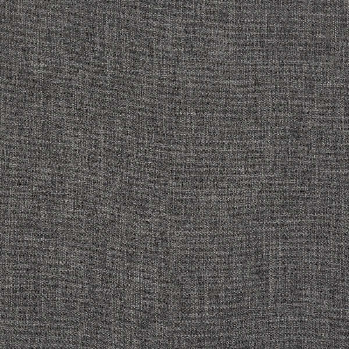 Fernshaw fabric in graphite color - pattern PF50410.970.0 - by Baker Lifestyle in the Notebooks collection