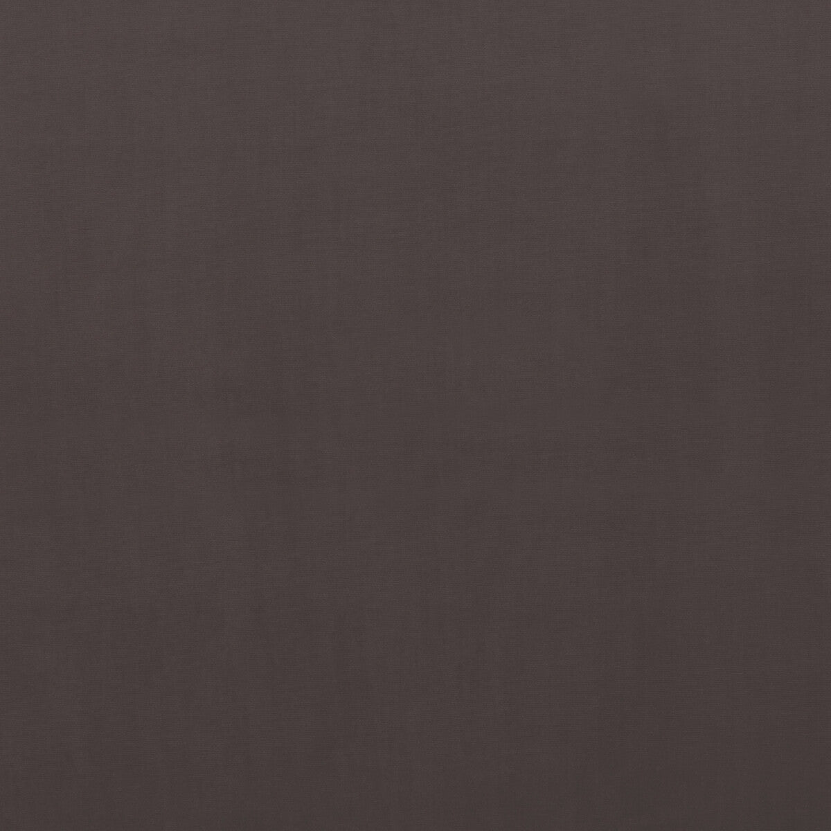 Milborne fabric in mole color - pattern PF50411.240.0 - by Baker Lifestyle in the Notebooks collection