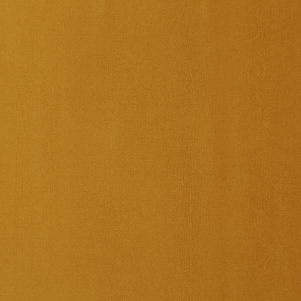 Milborne fabric in maize color - pattern PF50411.816.0 - by Baker Lifestyle in the Notebooks collection