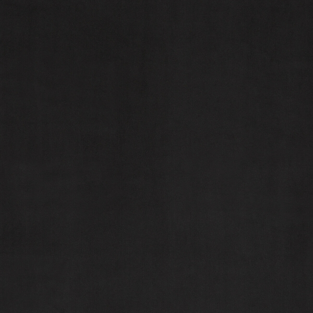 Milborne fabric in ebony color - pattern PF50411.955.0 - by Baker Lifestyle in the Notebooks collection