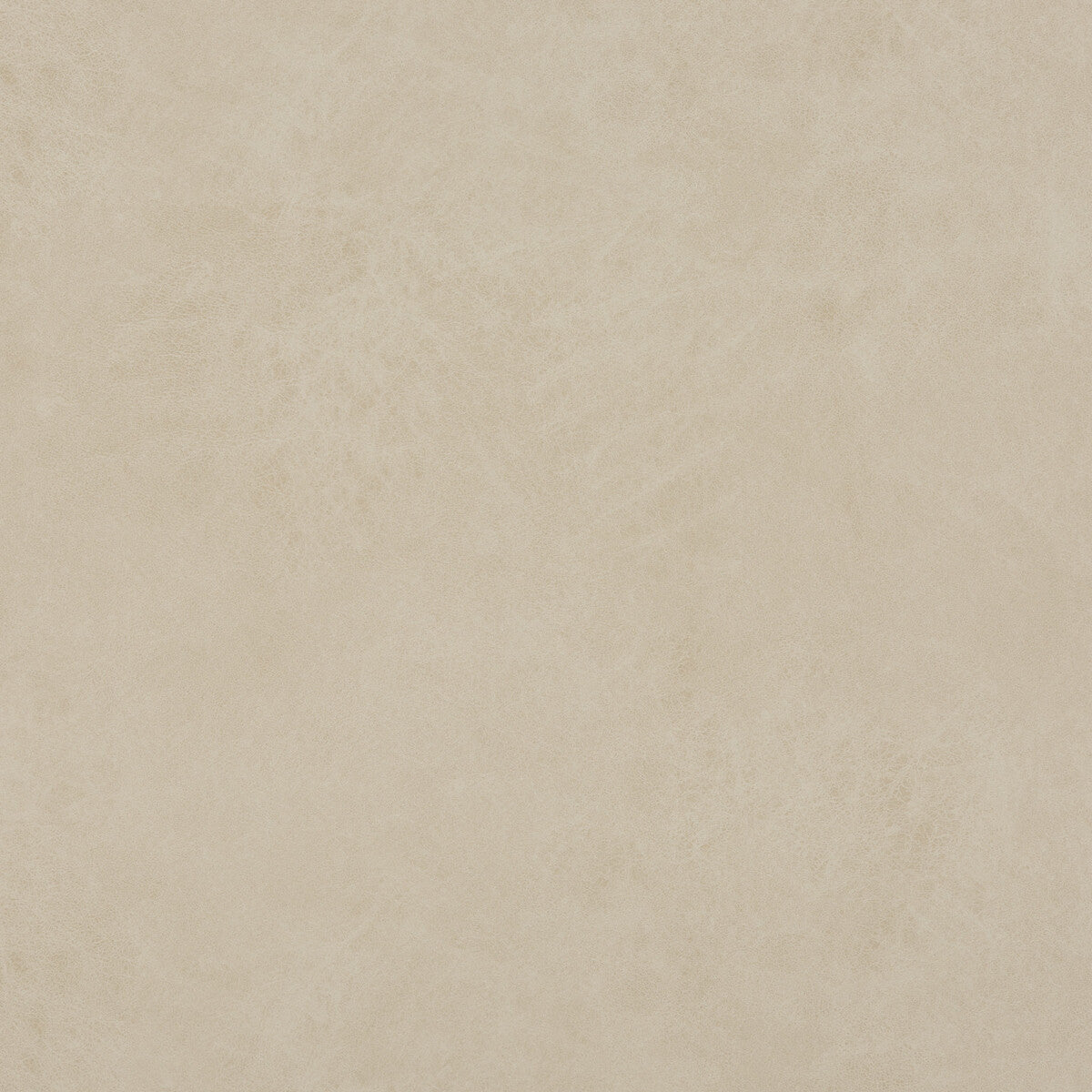 Lexham fabric in oatmeal color - pattern PF50412.230.0 - by Baker Lifestyle in the Notebooks collection