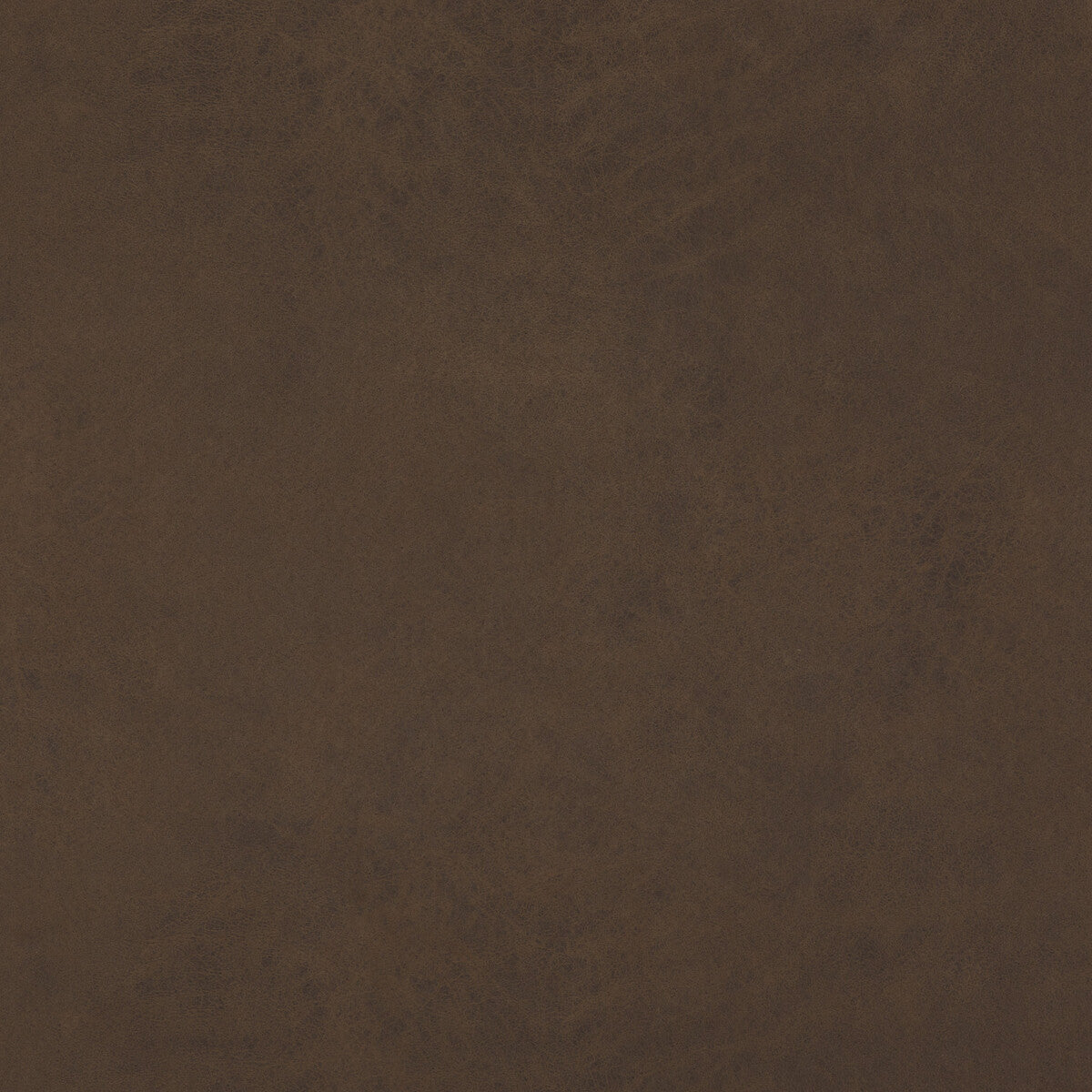 Lexham fabric in sable color - pattern PF50412.280.0 - by Baker Lifestyle in the Notebooks collection