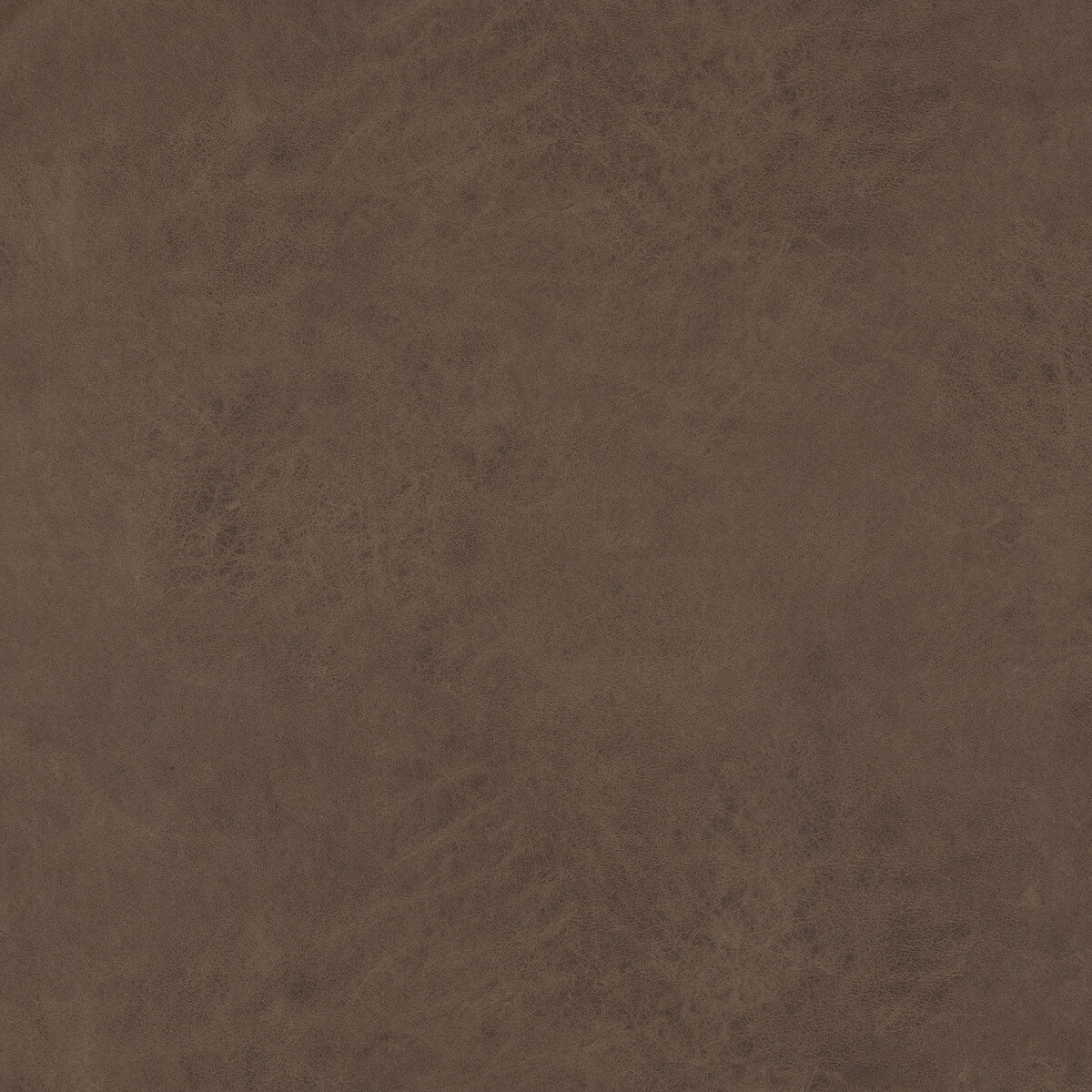 Lexham fabric in truffle color - pattern PF50412.284.0 - by Baker Lifestyle in the Notebooks collection