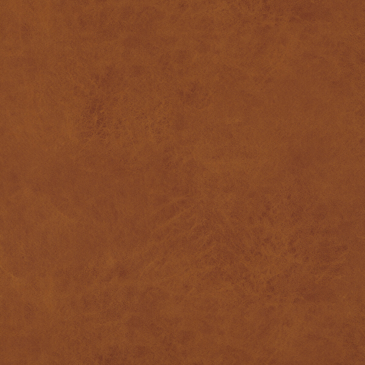 Lexham fabric in amber color - pattern PF50412.315.0 - by Baker Lifestyle in the Notebooks collection