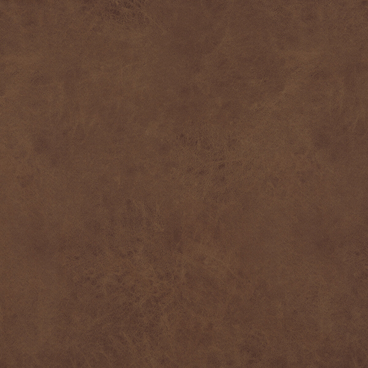 Lexham fabric in chestnut color - pattern PF50412.350.0 - by Baker Lifestyle in the Notebooks collection