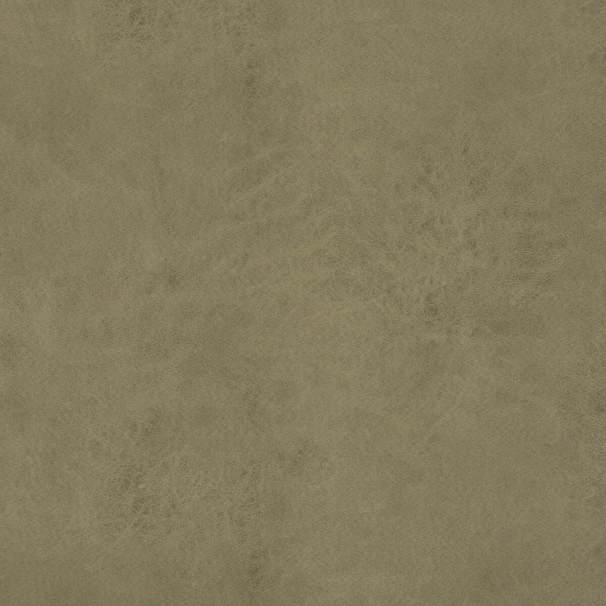 Lexham fabric in sage color - pattern PF50412.790.0 - by Baker Lifestyle in the Notebooks collection