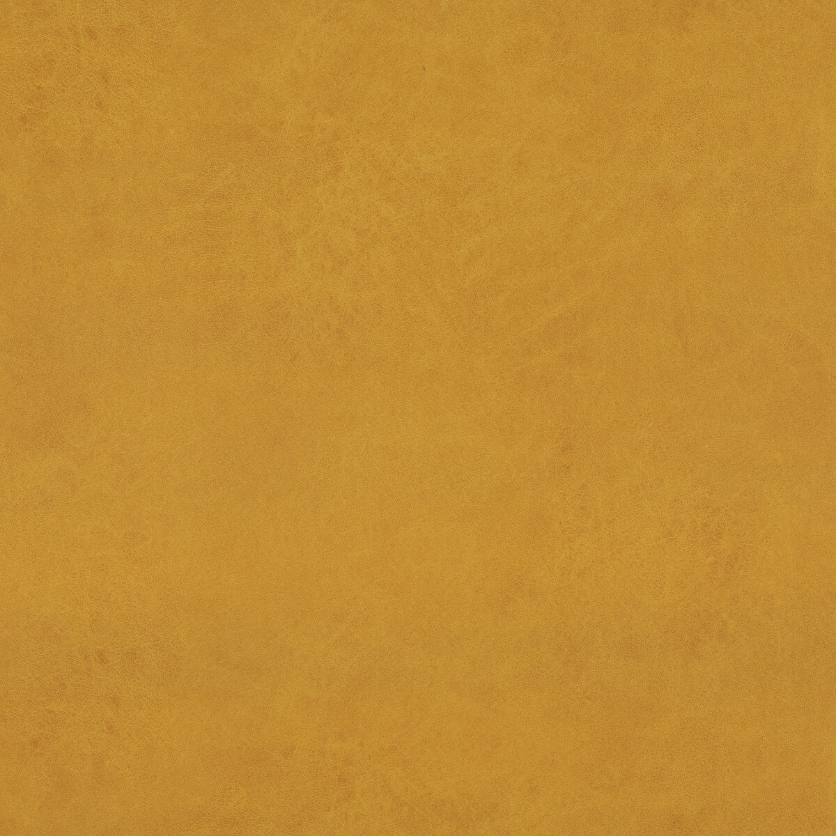 Lexham fabric in maize color - pattern PF50412.816.0 - by Baker Lifestyle in the Notebooks collection