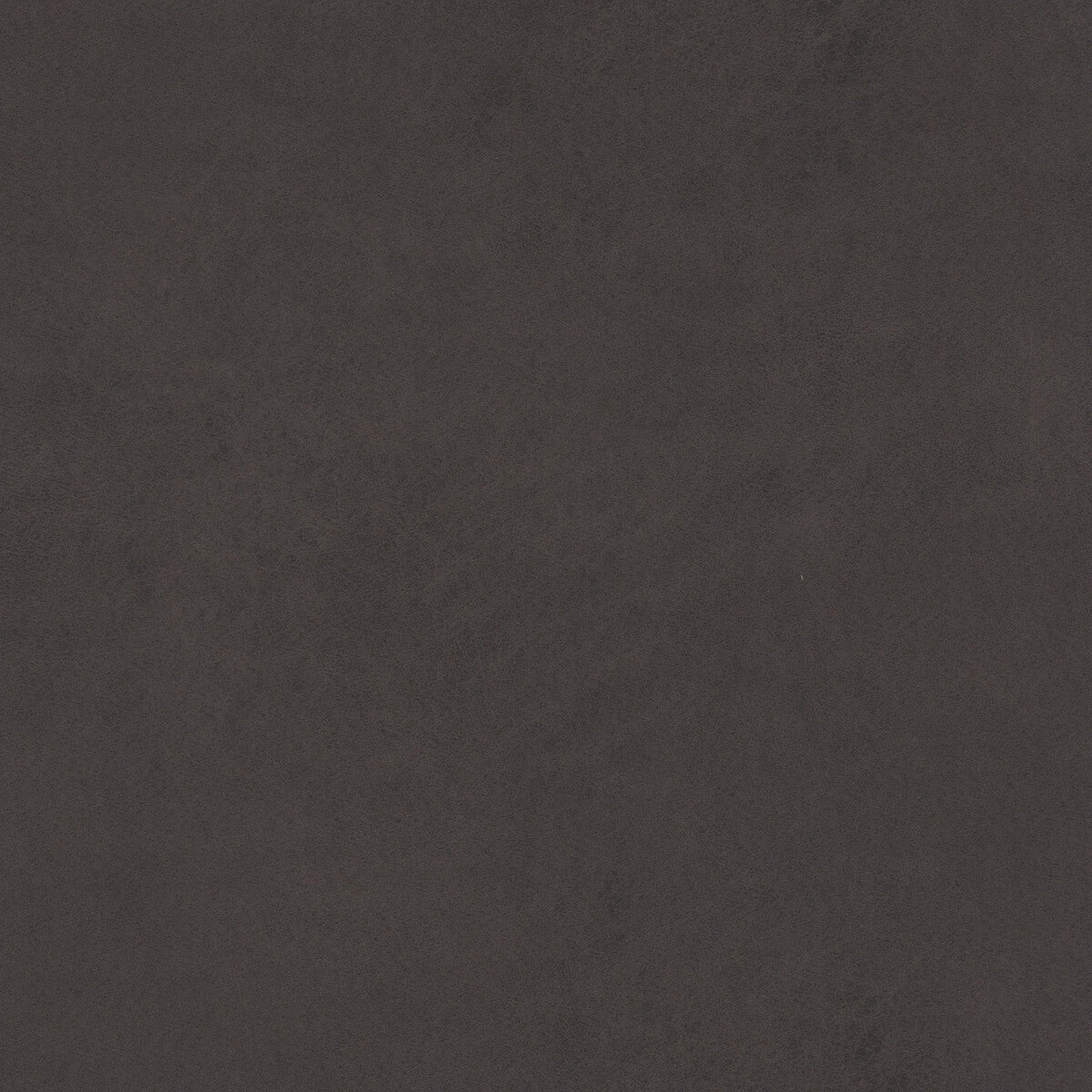 Lexham fabric in anthracite color - pattern PF50412.950.0 - by Baker Lifestyle in the Notebooks collection