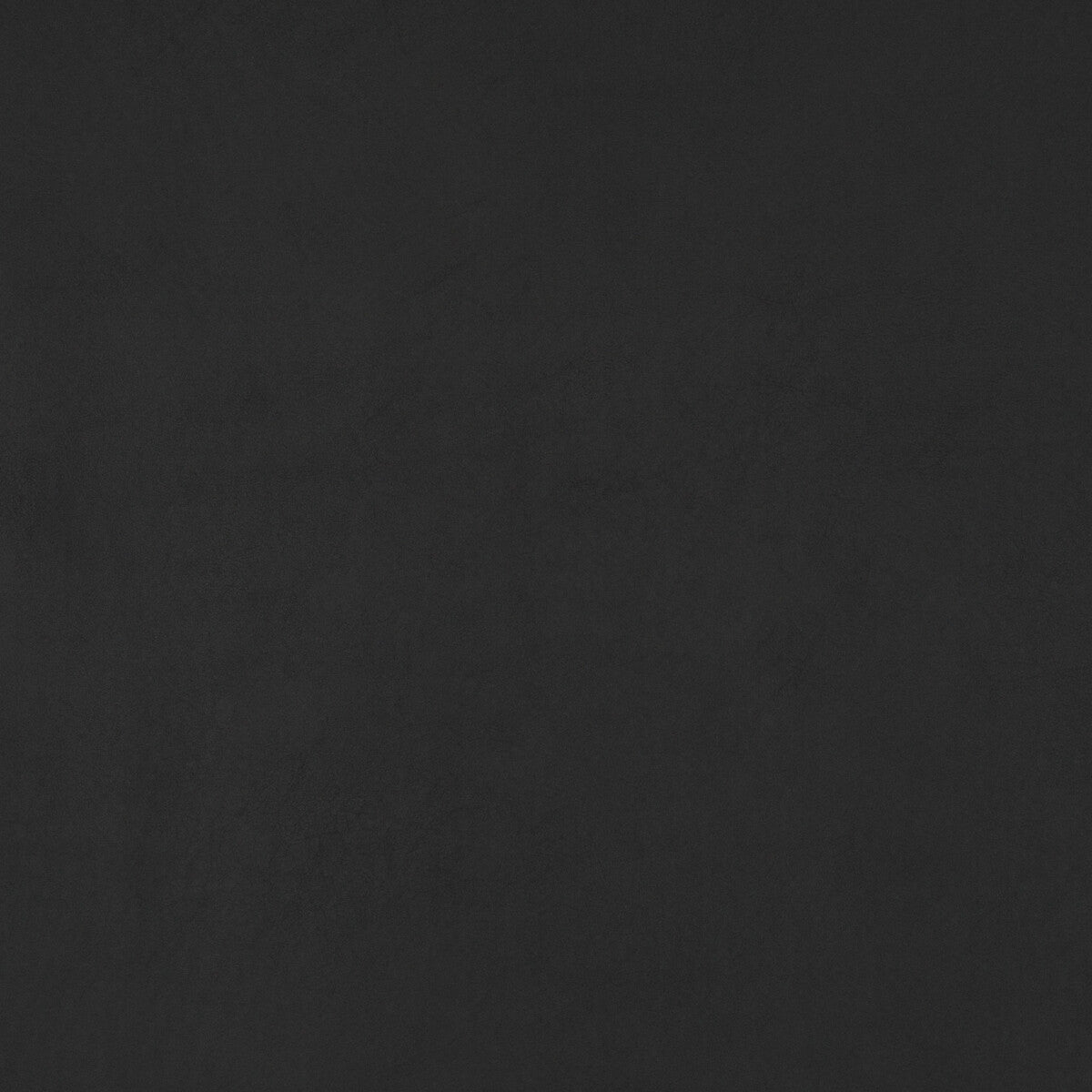 Lexham fabric in ebony color - pattern PF50412.955.0 - by Baker Lifestyle in the Notebooks collection