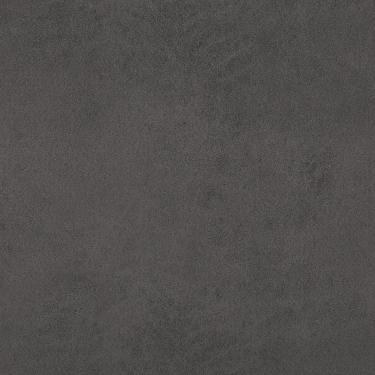 Lexham fabric in graphite color - pattern PF50412.970.0 - by Baker Lifestyle in the Notebooks collection