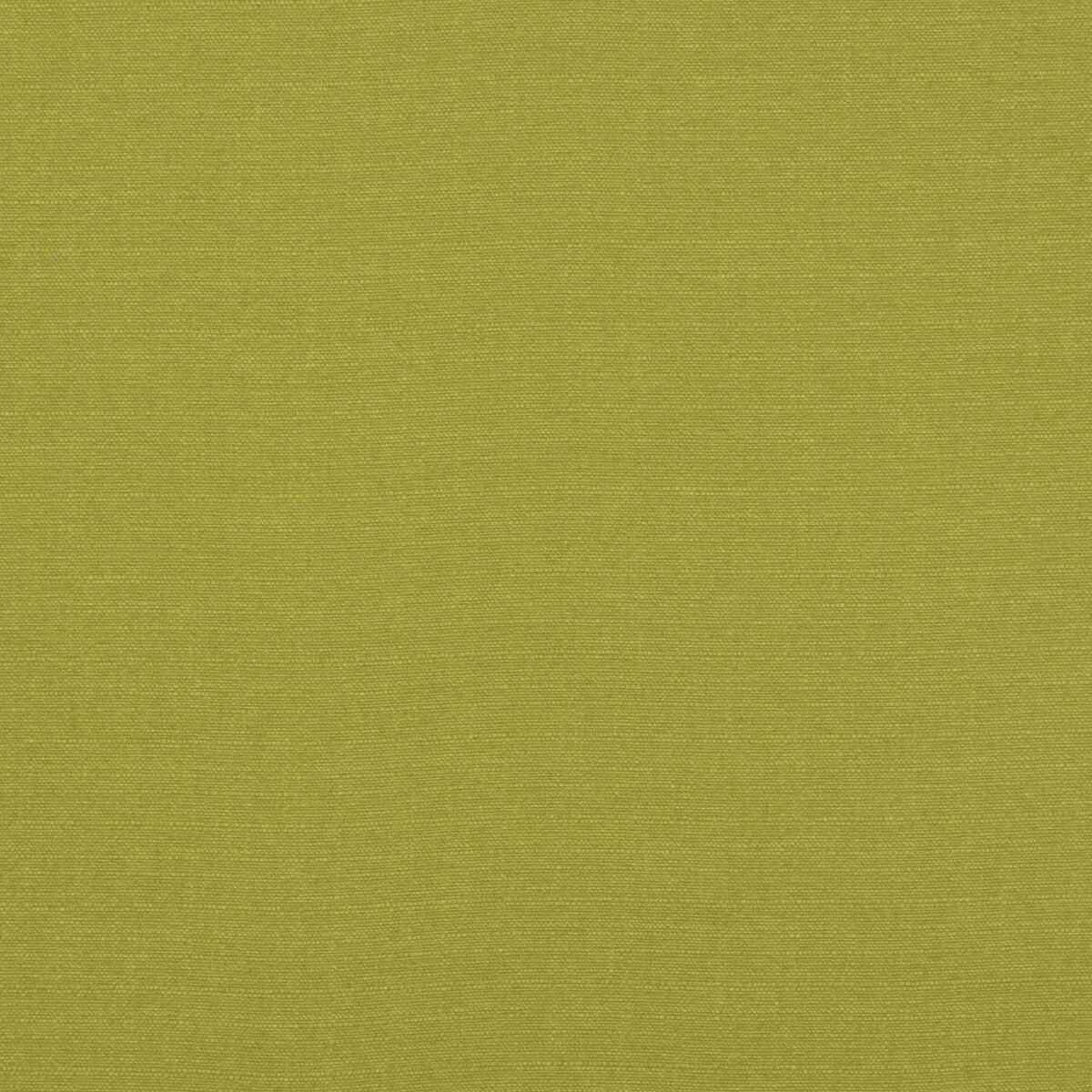 Lansdowne fabric in lime color - pattern PF50413.755.0 - by Baker Lifestyle in the Notebooks collection