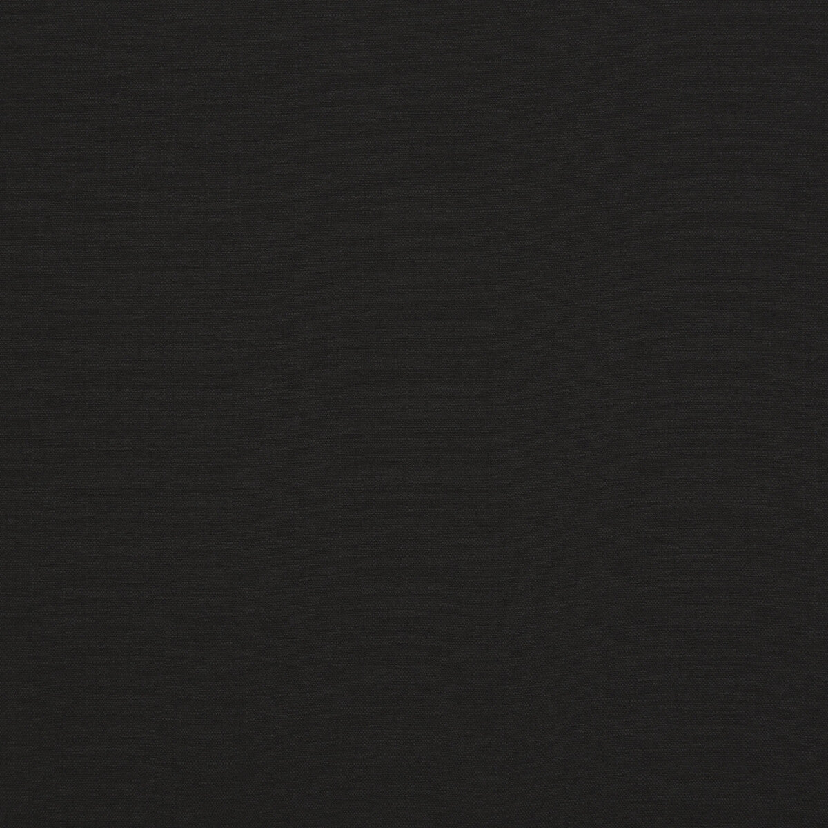 Lansdowne fabric in ebony color - pattern PF50413.955.0 - by Baker Lifestyle in the Notebooks collection