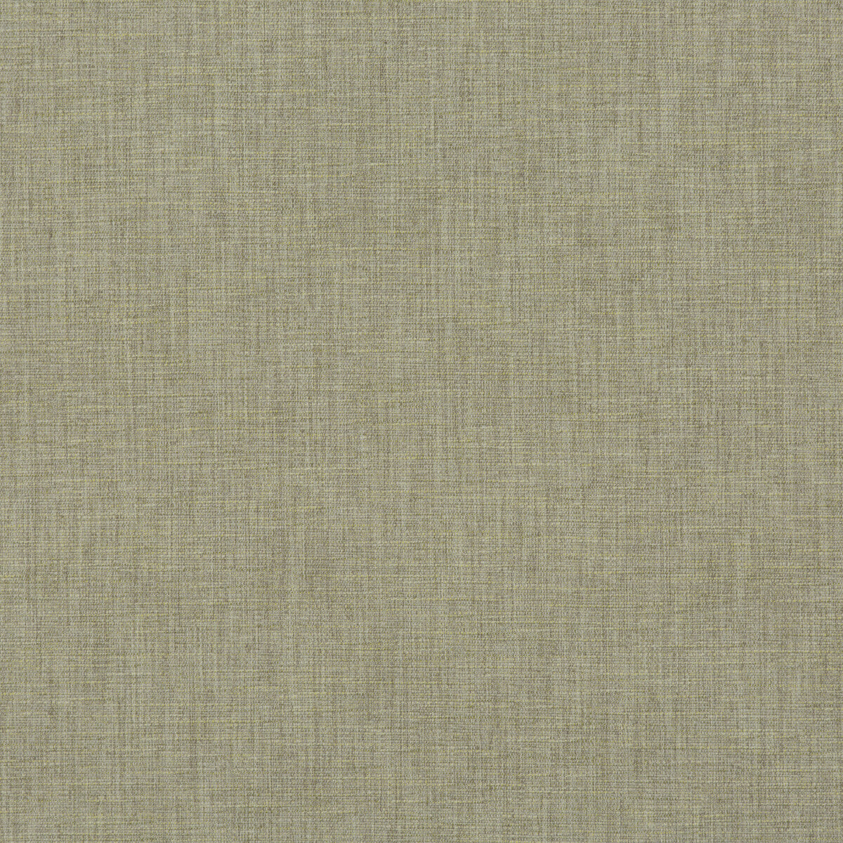 Kinnerton fabric in lichen color - pattern PF50414.724.0 - by Baker Lifestyle in the Notebooks collection