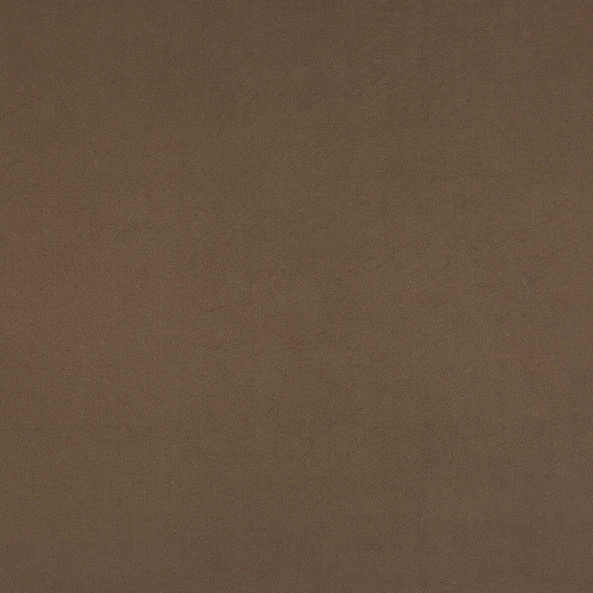 Maddox fabric in sable color - pattern PF50415.280.0 - by Baker Lifestyle in the Notebooks collection