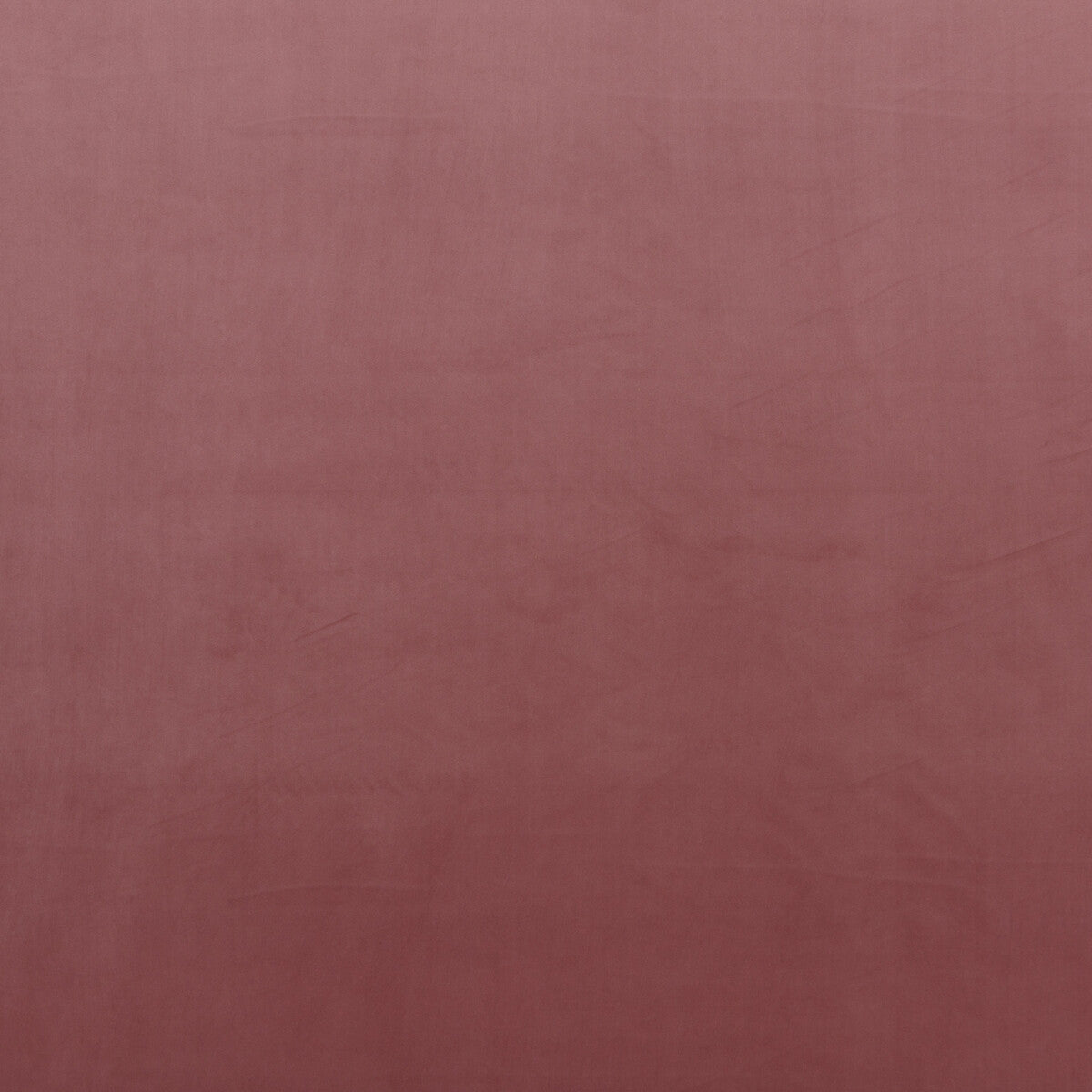 Montpellier Velvet fabric in rose color - pattern PF50417.400.0 - by Baker Lifestyle in the Carnival collection