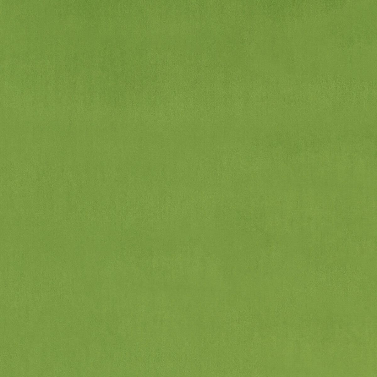 Montpellier Velvet fabric in emerald color - pattern PF50417.785.0 - by Baker Lifestyle in the Carnival collection