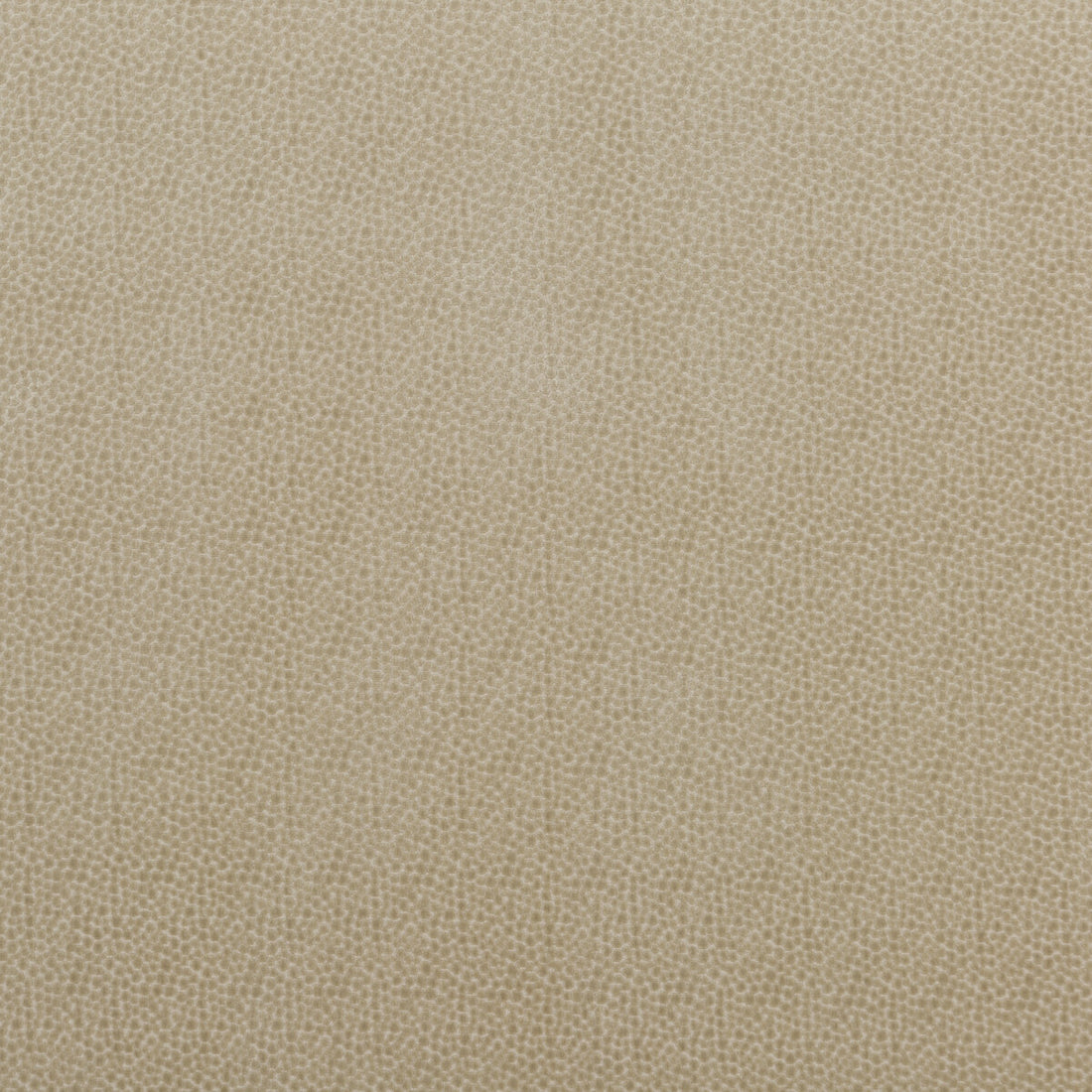 Salsa Spot fabric in parchment color - pattern PF50423.225.0 - by Baker Lifestyle in the Carnival collection