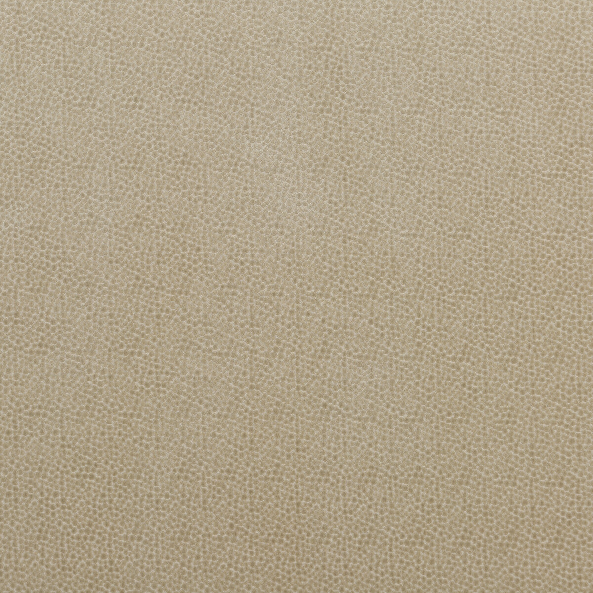 Salsa Spot fabric in parchment color - pattern PF50423.225.0 - by Baker Lifestyle in the Carnival collection