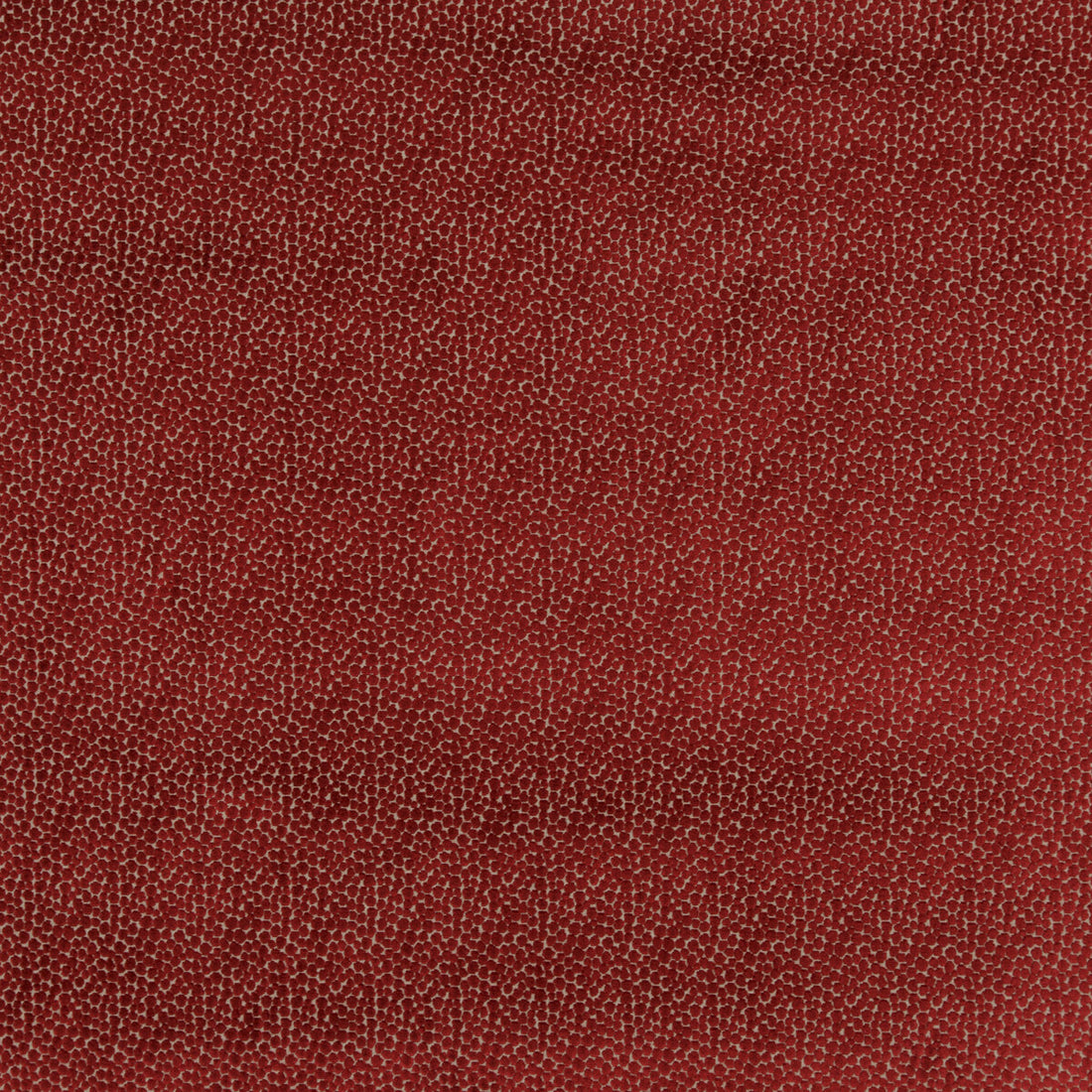 Salsa Spot fabric in red color - pattern PF50423.450.0 - by Baker Lifestyle in the Carnival collection
