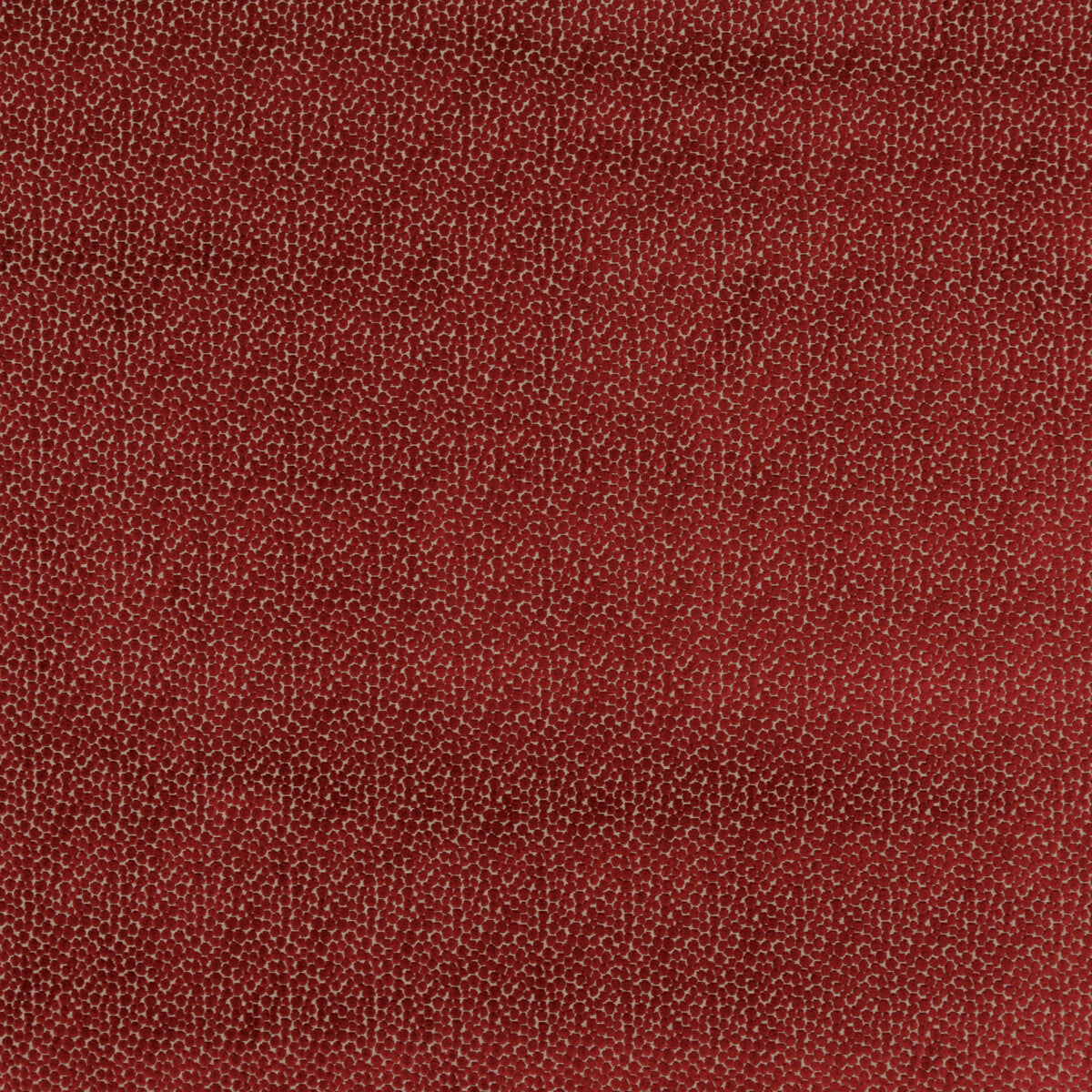 Salsa Spot fabric in red color - pattern PF50423.450.0 - by Baker Lifestyle in the Carnival collection