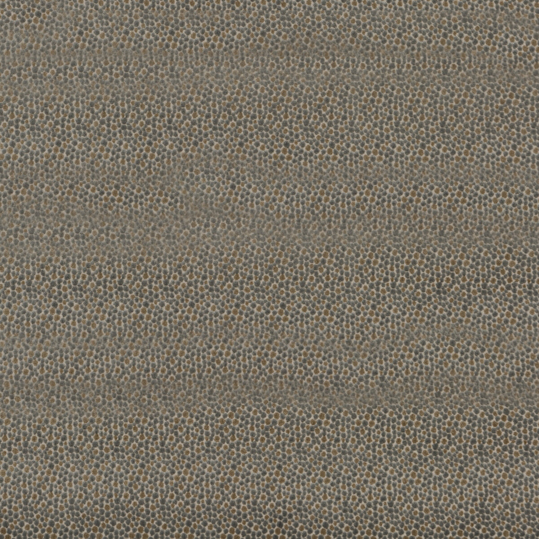 Salsa Two Spot fabric in silver color - pattern PF50424.925.0 - by Baker Lifestyle in the Carnival collection