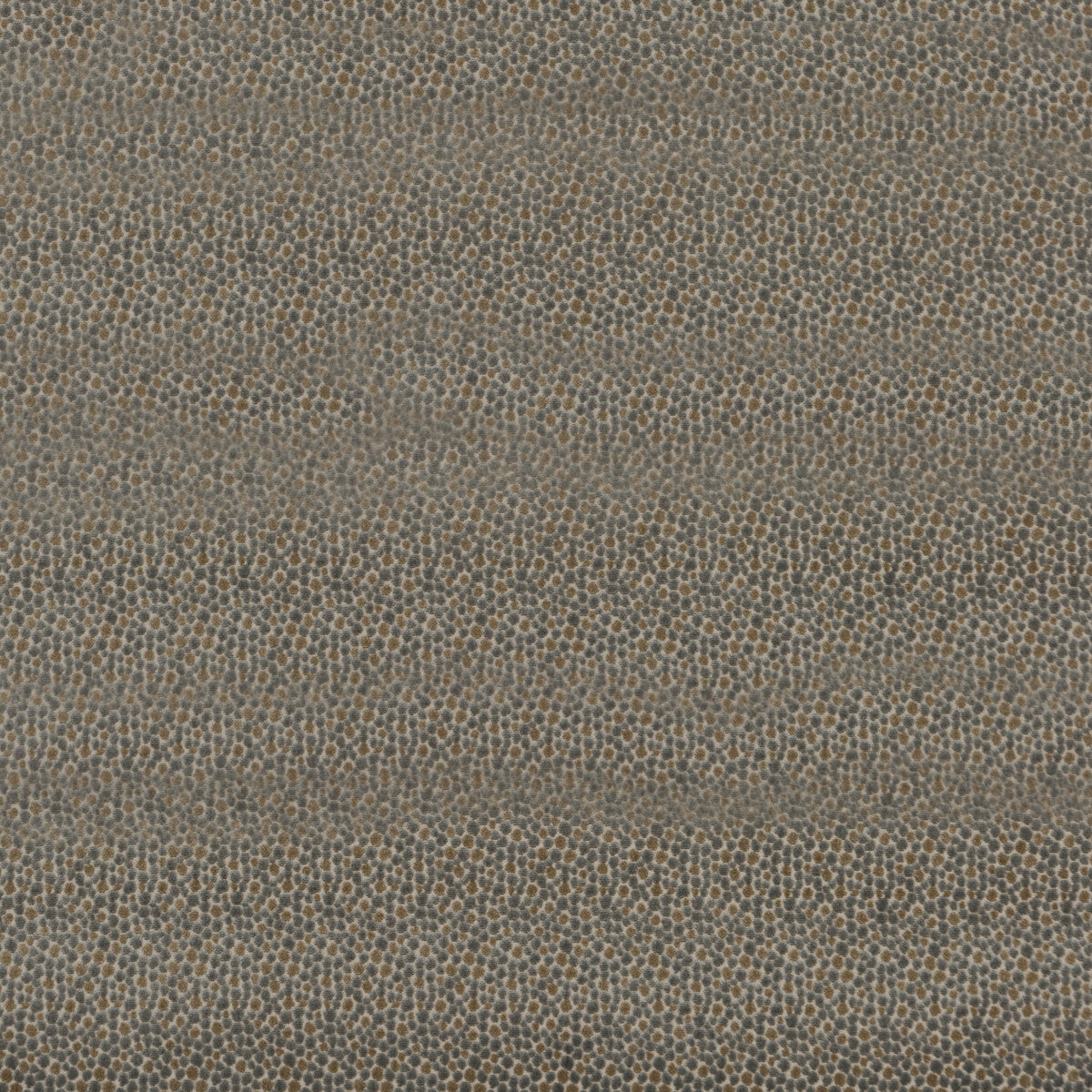 Salsa Two Spot fabric in silver color - pattern PF50424.925.0 - by Baker Lifestyle in the Carnival collection
