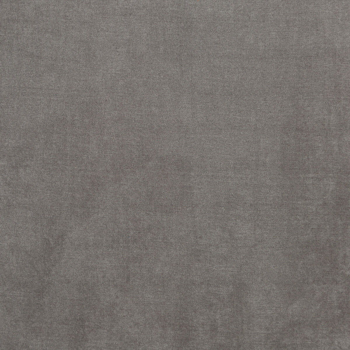 Cadogan fabric in mole color - pattern PF50439.240.0 - by Baker Lifestyle in the Carnival collection