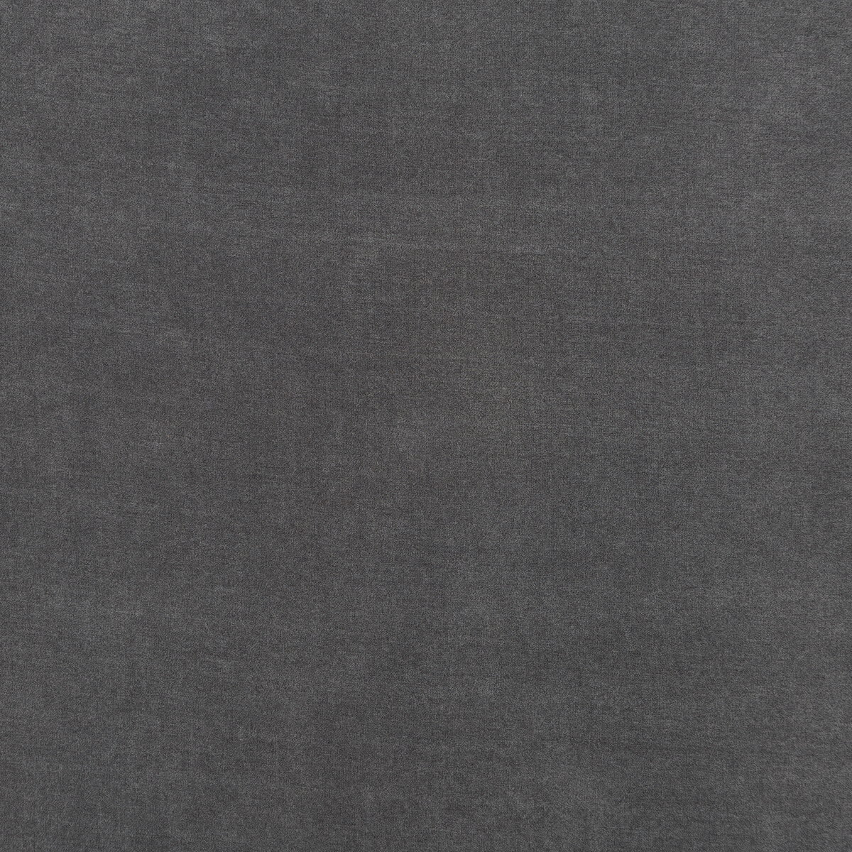 Cadogan fabric in graphite color - pattern PF50439.970.0 - by Baker Lifestyle in the Carnival collection