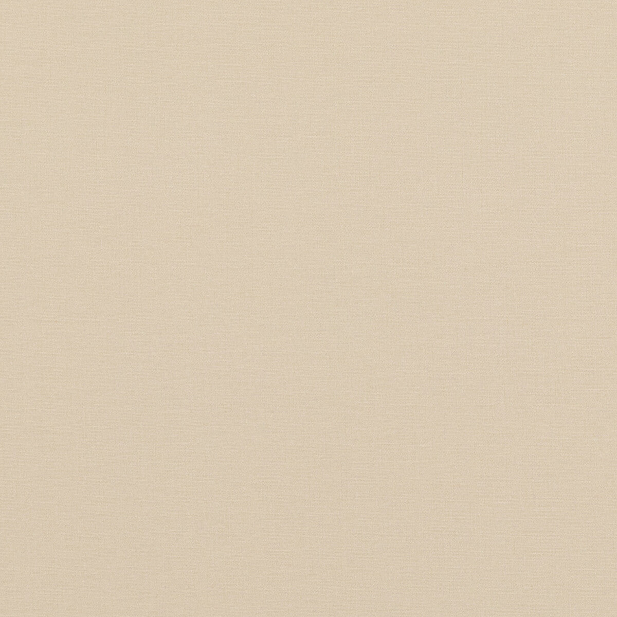 Pavilion fabric in parchment color - pattern PF50478.225.0 - by Baker Lifestyle in the Pavilion - Blegrave Notebook collection