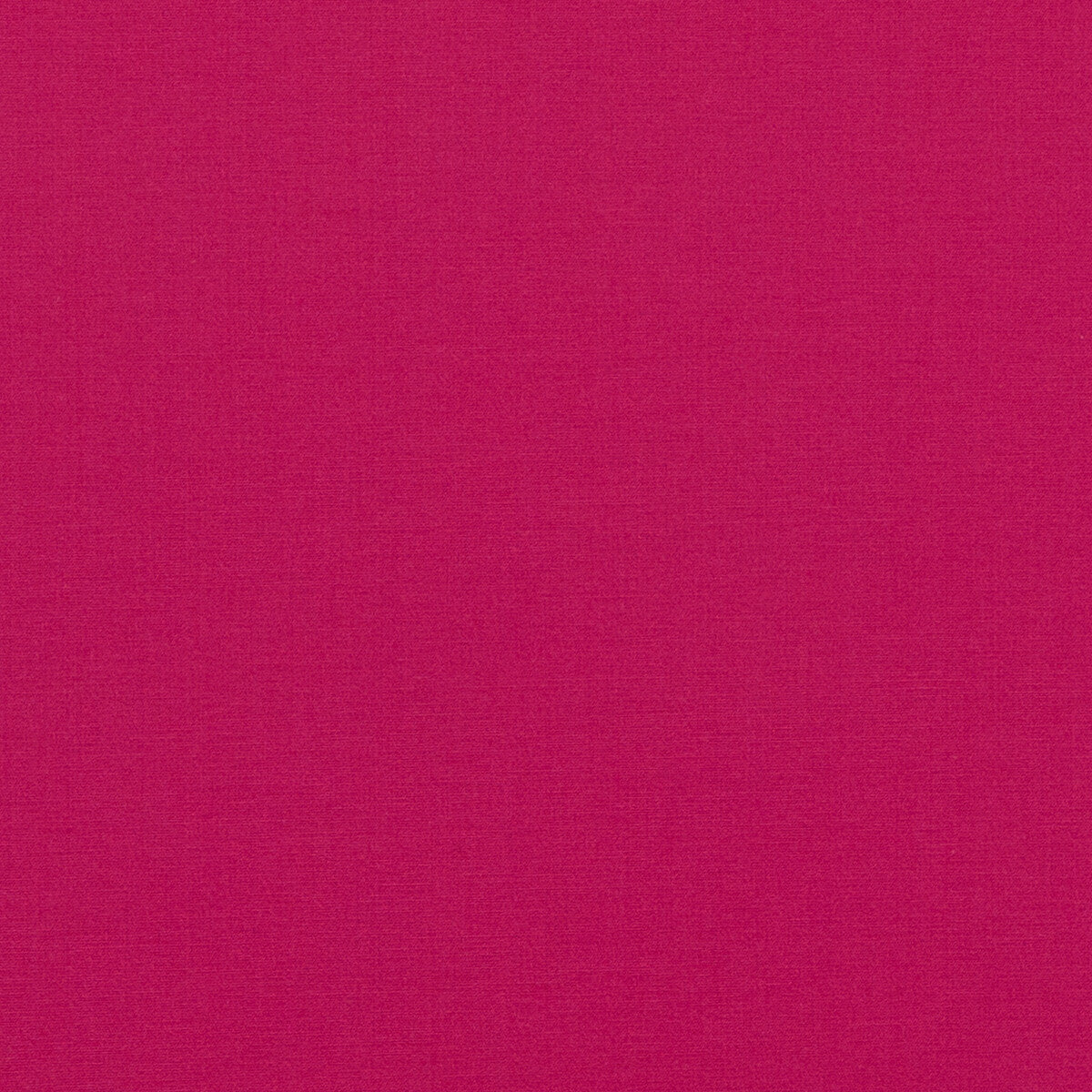 Pavilion fabric in fuchsia color - pattern PF50478.410.0 - by Baker Lifestyle in the Pavilion - Blegrave Notebook collection