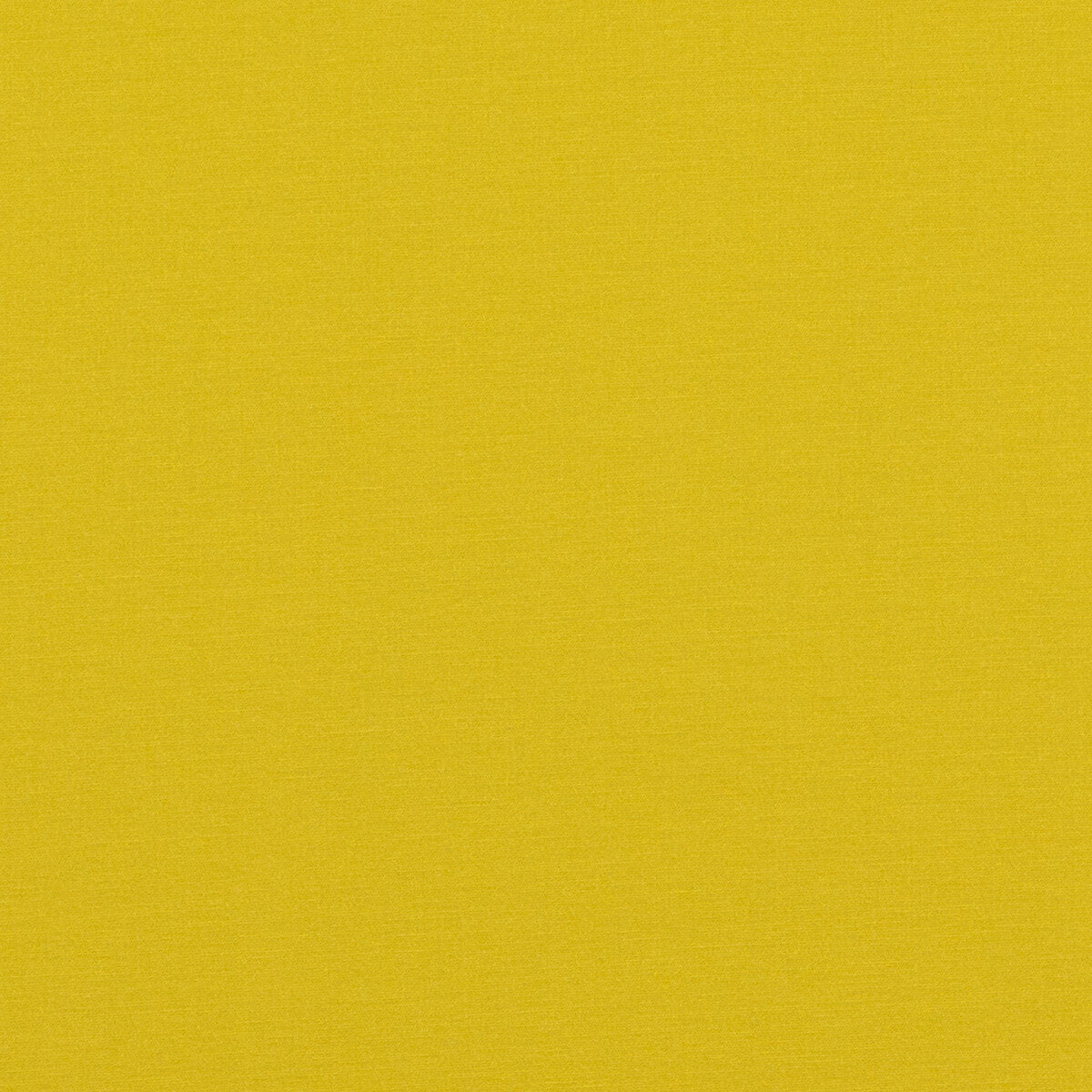 Pavilion fabric in citrus color - pattern PF50478.748.0 - by Baker Lifestyle in the Pavilion - Blegrave Notebook collection
