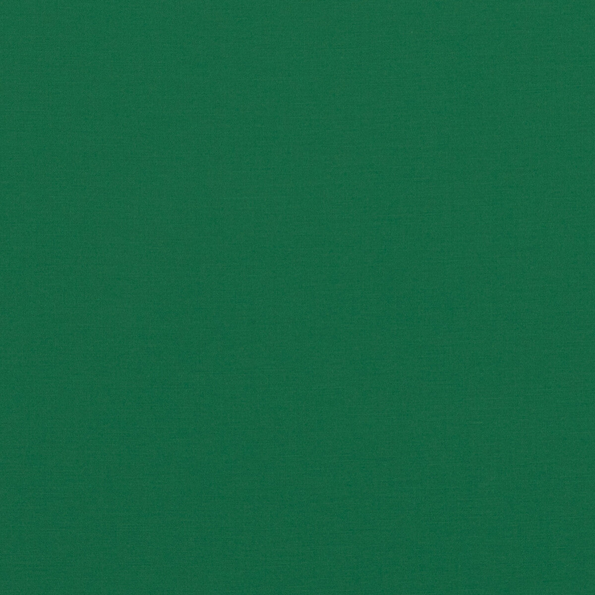 Pavilion fabric in emerald color - pattern PF50478.785.0 - by Baker Lifestyle in the Pavilion - Blegrave Notebook collection