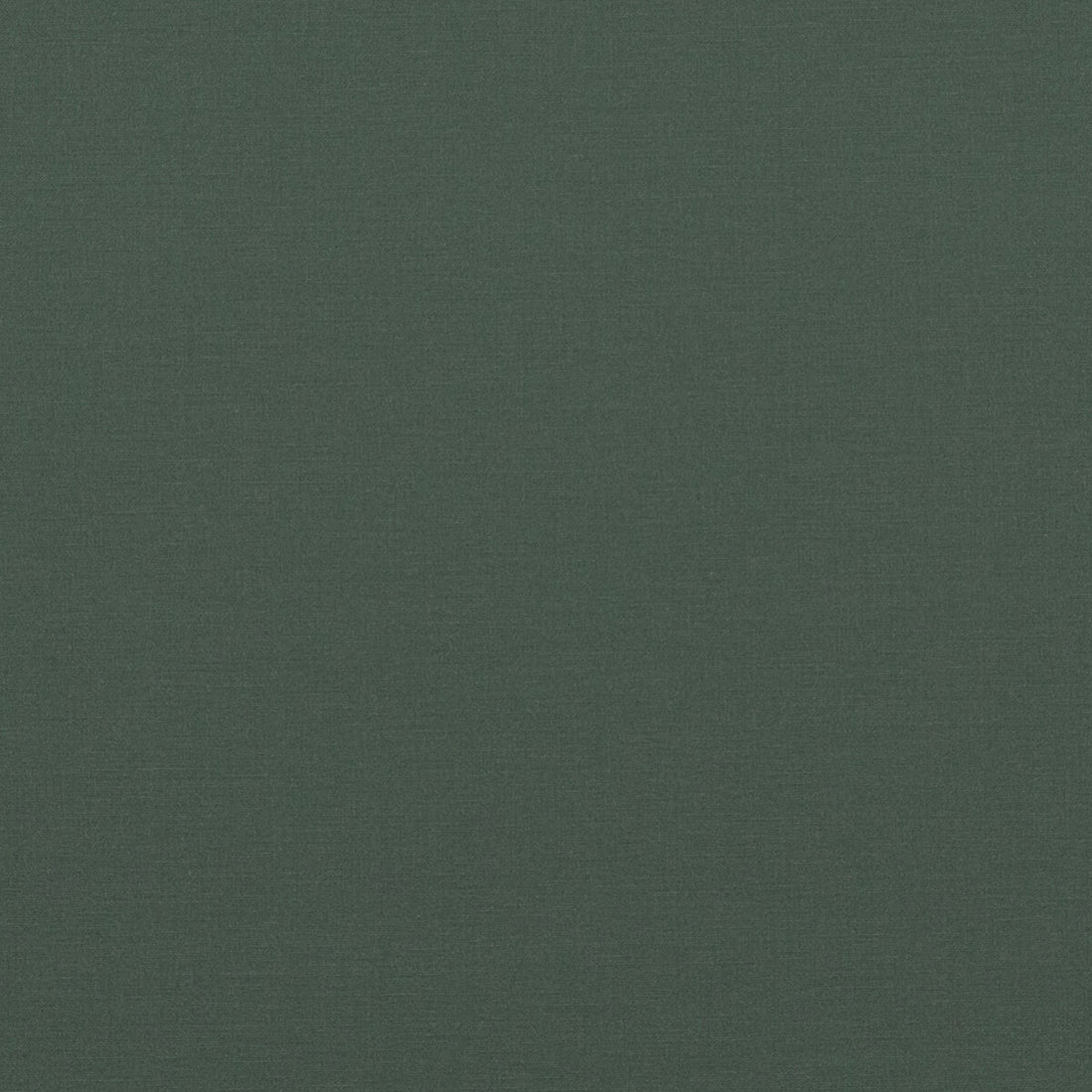 Pavilion fabric in spruce color - pattern PF50478.796.0 - by Baker Lifestyle in the Pavilion - Blegrave Notebook collection