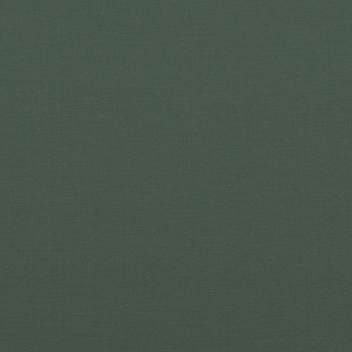 Pavilion fabric in spruce color - pattern PF50478.796.0 - by Baker Lifestyle in the Pavilion - Blegrave Notebook collection