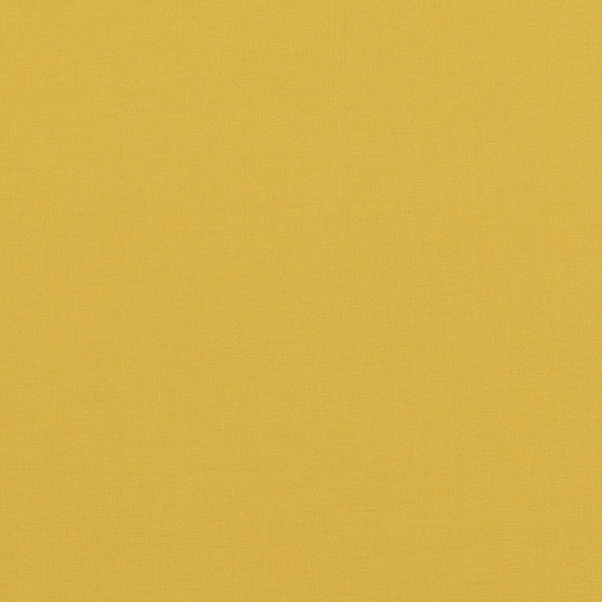 Pavilion fabric in yellow color - pattern PF50478.814.0 - by Baker Lifestyle in the Pavilion - Blegrave Notebook collection