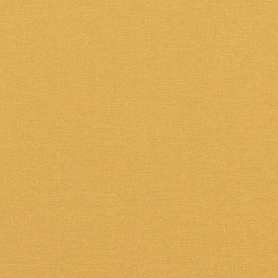 Pavilion fabric in ochre color - pattern PF50478.840.0 - by Baker Lifestyle in the Pavilion - Blegrave Notebook collection