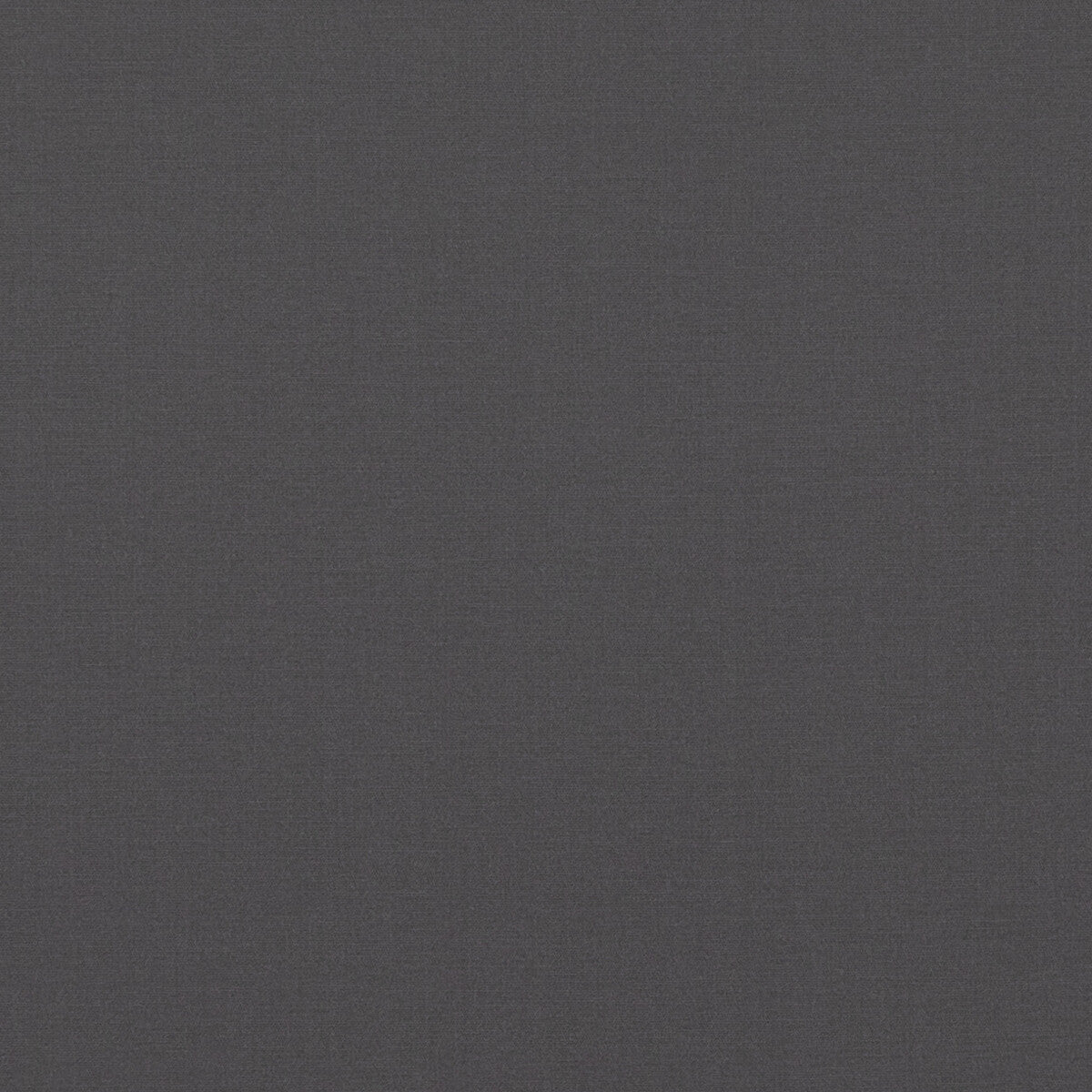 Pavilion fabric in graphite color - pattern PF50478.970.0 - by Baker Lifestyle in the Pavilion - Blegrave Notebook collection