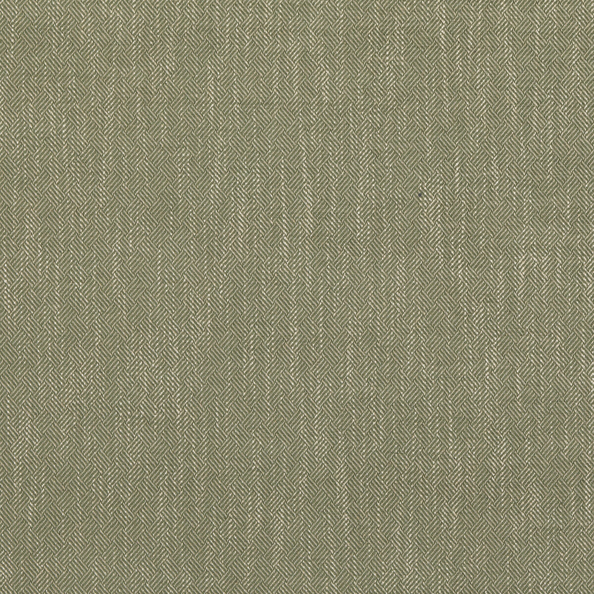 Garden Path fabric in green color - pattern PF50486.735.0 - by Baker Lifestyle in the Block Weaves collection