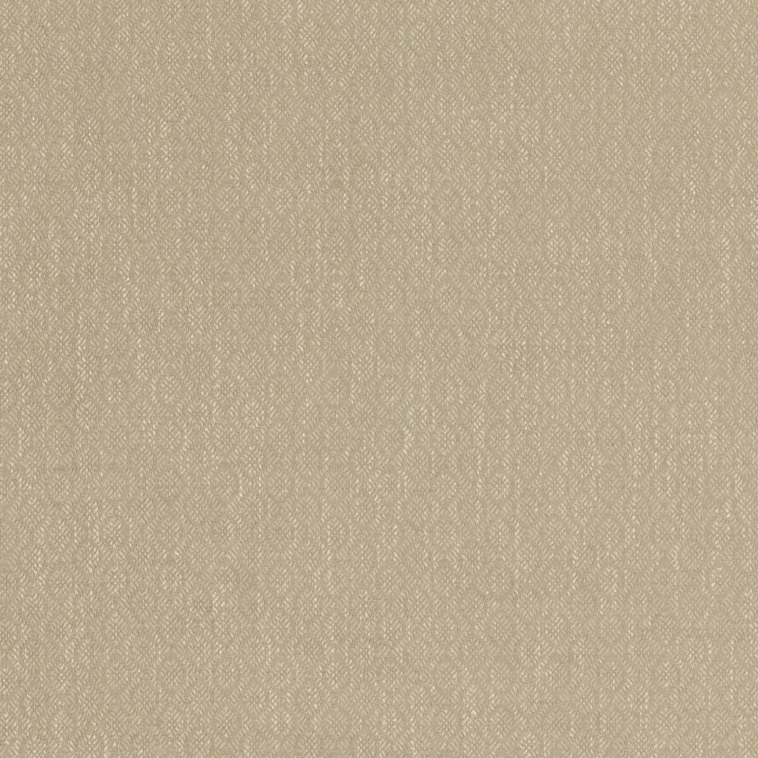 Orchard fabric in stone color - pattern PF50488.140.0 - by Baker Lifestyle in the Block Weaves collection