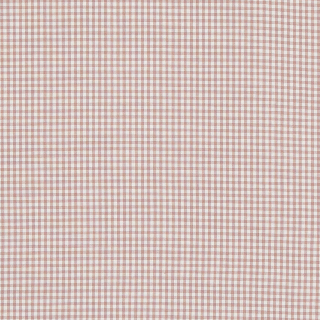 Sherborne Gingham fabric in pink color - pattern PF50506.404.0 - by Baker Lifestyle in the Bridport collection