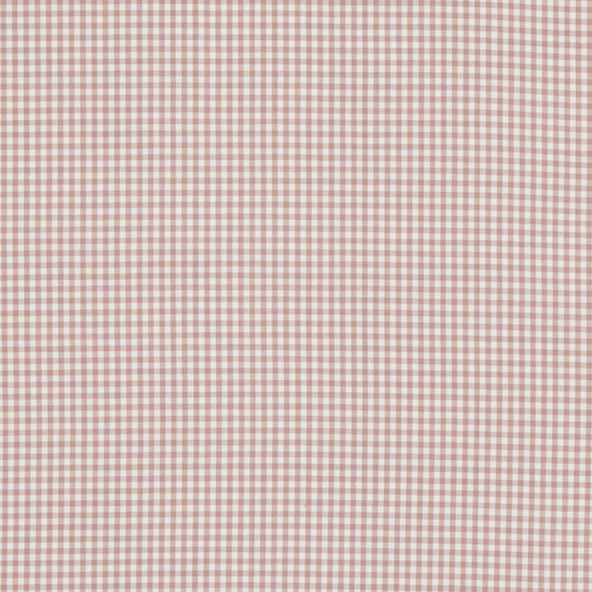 Sherborne Gingham fabric in pink color - pattern PF50506.404.0 - by Baker Lifestyle in the Bridport collection