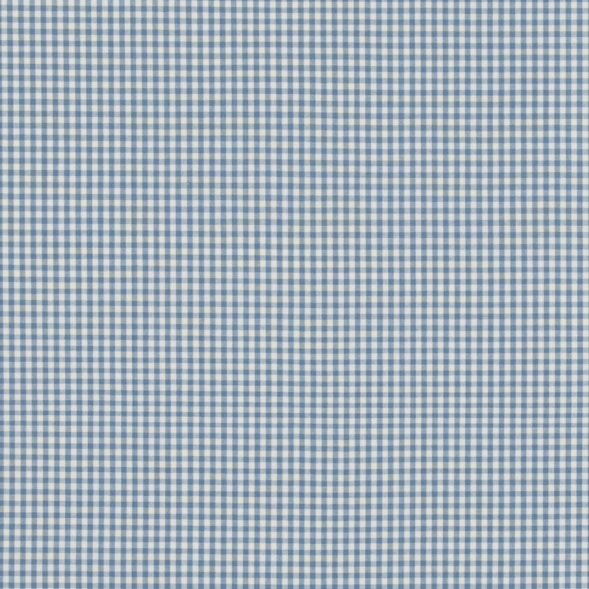 Sherborne Gingham fabric in soft blue color - pattern PF50506.605.0 - by Baker Lifestyle in the Bridport collection